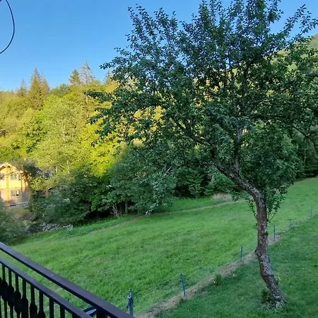Horska Zubor Kysucke Nove Mesto